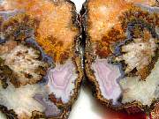 rough_agate-laguna3-8_01-01.jpg