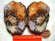 rough_agate-laguna3-8_01-02.jpg