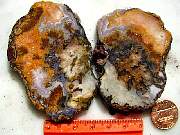 rough_agate-laguna3-8_01-03.jpg