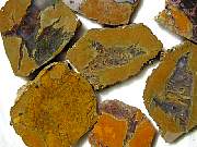 rough_agate-priday3-8_02-02.jpg
