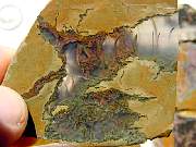 rough_agate-priday3-8_02-04.jpg