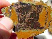 rough_agate-priday3-8_02-05.jpg