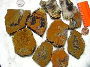 rough_agate-priday3-8_02-12.jpg