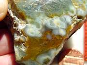 rough_jasper-tahoma3-8_01-01.jpg