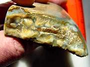 rough_jasper-tahoma3-8_01-04.jpg