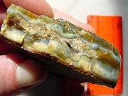 rough_jasper-tahoma3-8_01-05.jpg