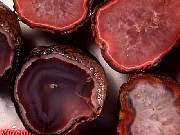 rough_agate-coyamito3-9_01-01.jpg