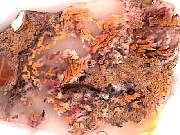 rough_agate-priday-plume3-9_01-01.jpg