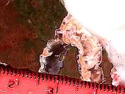 rough_agate-priday-plume3-9_01-04.jpg