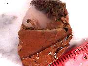 rough_agate-priday-plume3-9_01-05.jpg