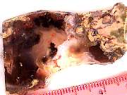 rough_agate-priday-plume3-9_01-06.jpg