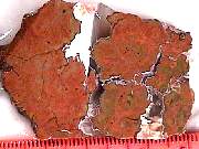 rough_agate-priday-plume3-9_01-09.jpg