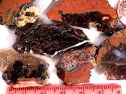rough_agate-priday-plume3-9_01-10.jpg
