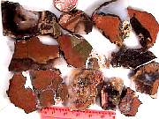 rough_agate-priday-plume3-9_01-11.jpg