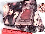 rough_jasper-porcelain3-9_01-02.jpg