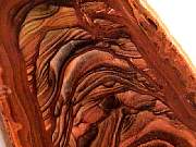 rough_jasper-sahara3-9_01-04.jpg