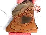 rough_jasper-willowcreek3-9_01-02.jpg