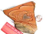 rough_jasper-willowcreek3-9_01-04.jpg