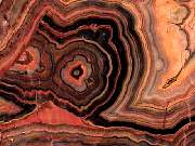 rough_onyx-flower3-9_01-01.jpg