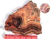 rough_onyx-flower3-9_01-02.jpg