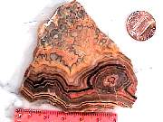 rough_onyx-flower3-9_01-03.jpg