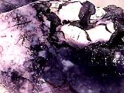 rough_opal-fluorite3-9_02-01.jpg