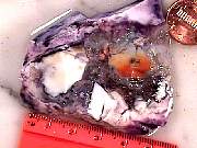 rough_opal-fluorite3-9_03-02.jpg