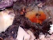 rough_opal-fluorite3-9_03-03.jpg