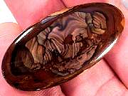 cab_jasper-sahara3-23_01-05.jpg