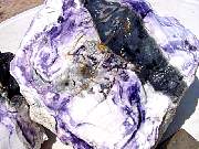 DSC01207.JPG