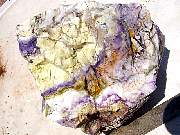 DSC01212.JPG