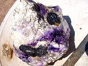 DSC01214.JPG
