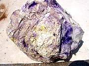 DSC01215.JPG