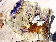 DSC01224.JPG