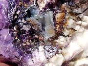 DSC01230.JPG