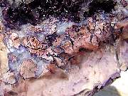 DSC01236.JPG