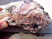 DSC01238.JPG