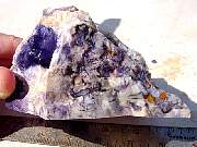 DSC01240.JPG