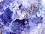 DSC01241.JPG