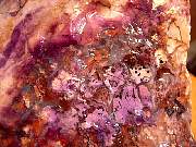 DSCN0495.JPG