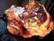 DSCN0501.JPG