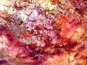DSCN0502.JPG