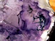 DSCN0614.JPG
