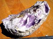 DSCN0636.JPG