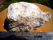 DSCN0641.JPG