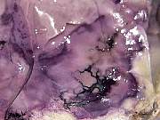 DSCN0642.JPG