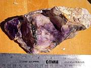DSCN0645.JPG