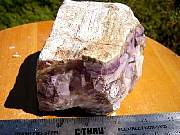 DSCN0649.JPG