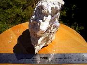 DSCN0654.JPG