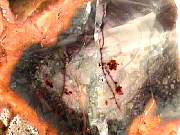 polished_morrisonite8-24_02-02.jpg